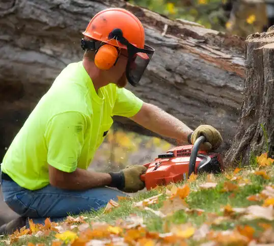 tree services Scott